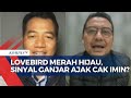 Menerka Makna Ganjar Hadiahi Cak Imin Lovebird Merah Hijau, Berikut Analisis Pengamat Politik...