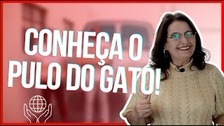 Como Abrir Uma ONG de Proteção de ANIMAIS? ENTENDA AGORA! | Revicont