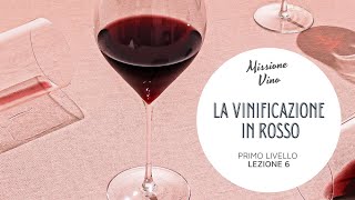 Lezione 6: Come si fa il vino rosso - La vinificazione in rosso