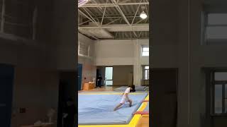 😨How many flips and twists?⬇️ (by Kazuki Minami) #sport #twists #artisticgymnastics