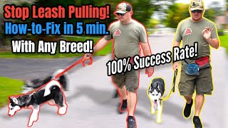 STOP Leash Pulling with ANY BREED Right NOW!  SO EASY!