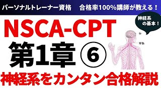 【プロが教える】NSCA-CPT対策講座　神経系の基本を合格解説