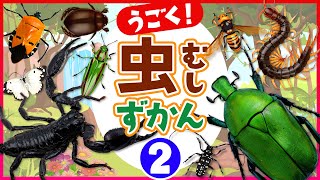 【昆虫大図鑑★②】昆虫や色々な虫の名前を覚えよう♪英語\u0026日本語