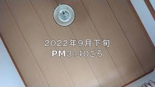 【嫌がらせ】県営住宅の嫌がらせ　１F　N川　３F　M原の嫌がらせ　２０２２年９月　M原が入院する前の嫌がらせ全盛期