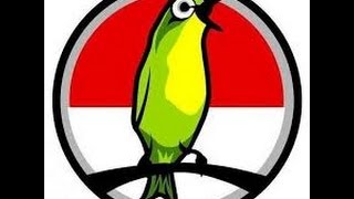 Playtube Pk Ultimate Video Sharing Website