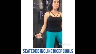 HOW TO: SEATED DUMBBELL CURLS EXERCISE