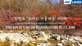 강원도 오대산 가을단풍 계곡/ 4K Korea Natural Video_Autumn Valley in O Dea San Mt.