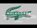 Mluusician, Ricky Lenyora, DJ Maphorisa, Vulela Maweekend, Mark Khoza & Angekebabuye Mc - Malacosta