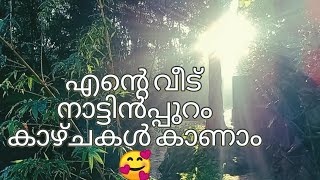 എന്റെ ചാനലിലെ ആദ്യത്തെ വ്ലോഗ് 🥰❤️നാട്ടിൻപ്പുറം #village #villagelife #life#trending#home#viralshorts