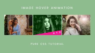 Pure CSS Image Hover Effect | Learn CSS Animation