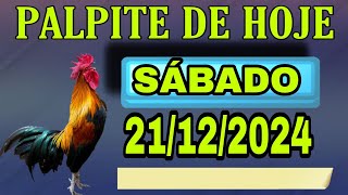 PALPITE DO NETO 21/12/2024