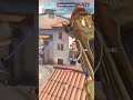 that pharah diff outplayed overwatch overwatch2 pharah