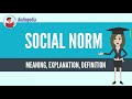 What Is SOCIAL NORM? SOCIAL NORM Definition & Meaning