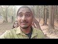 jhargram zoological park ঝাড়গ্রাম ডিয়ার পার্ক jhargram zoo deer park jhargram tour vlogs