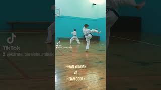 Kata Heian Yondan vs Godan. #каратэ #karate #kata #shotokan #heiangodan #heianyondan #katashotokan