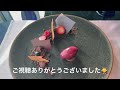 あべのハルカス内大阪マリオット都ホテル宿泊動画