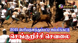 செங்குறிச்சி செவலை | 2021 பெரியகுளத்துப்பட்டி ஜல்லிக்கட்டு | Thangam Jallikattu TV