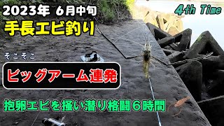 【釣行】手長エビ釣り 梅雨時の格闘😊 テナガエビ てながえび