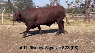 Lot 11 Riverina Skydiver S28 PS