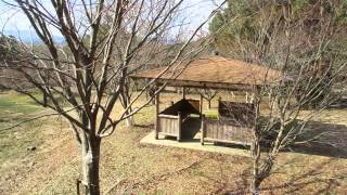 寒中晴れの紅葉の森　⑤　福智山ろく花公園　福岡県直方市永満寺