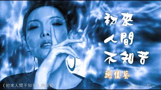 初來人間不知苦 Chu lai ren jian bu zhi ku 魏佳藝  Wei Jia Yi #動態歌詞 Pinyin/Lyrics Music