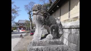 京都・奈良　狛犬・神社探訪 NO.23 「北野天満宮⑩（京都市）」補完