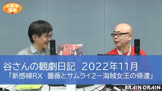 谷さんの観劇日記2022年11月　「新感線RX　薔薇とサムライ２-海賊女王の帰還」