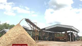 เครื่องสับไม้_TED Wood Chip Factory (Thailand)