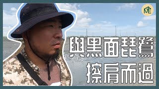 【旅人生態】Ep 2 與黑面琵鷺擦肩而過｜魚見嬌客-台江里海｜來七股不能錯過的賞鳥行程！伙湠廚房春季餐盤