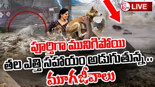 తల ఎత్తి సహాయం అడుగుతున్న... | Water Flooding Due to Heavy Rainfall In Vijayawada | Rain Alert in AP