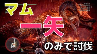 【MHWI】歴戦王イヴェルカーナ装備でマムを「竜の一矢」のみ討伐(終わりなき黄金時代)