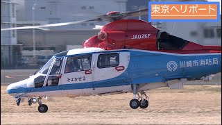 【ヘリコプター 】Airbus Helicopters AS365/565 [JA02KF] 川崎市消防航空隊「そよかぜ２」の離陸・東京ヘリポート