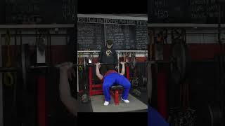 295 lb / 134 lb - Bench Press