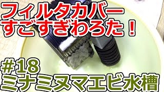 【エビアクアリウム】フィルターカバーの効果すごすぎわろた！【ミナミヌマエビ繁殖水槽＃18】