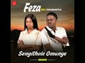 Feza feat CHULUMAnco.m - sengitholo munye remix 