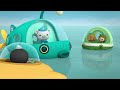 octonauts le baliste dessins animés pour enfants