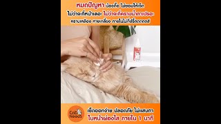 Catnip Eye Cleaner น้ำยาเช็ดคราบน้ำตาแมว จาก Cat Needs