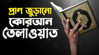 প্রাণ জুড়ানো কোরআন তেলাওয়াত || Shurer Tane || কোরআন তেলাওয়াত || ‍Sylhet Live || Live Nasheed