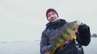 Perch Bonanza with Tournament lures