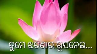 ତୁମେ ଝରଣାର ରୂପ ନେଇ-Tume jharanara rupa nei_odia Christian devotional song