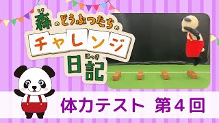 【できるかな？】体力テストに挑戦！第4回【おうち遊び】《森のどうぶつたちのチャレンジ日記》