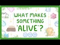 GCSE Biology -  Characteristics of Living Things (Organisms) (2026/27 exams)