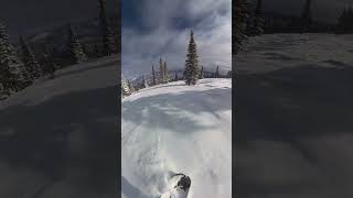 Sheer Bliss - Snowmass