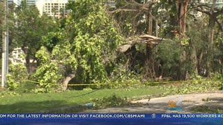 Hurricane Irma Leaves Big Cleanup Job In Its Wake