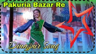 Pakuria Bazar Re || Santali Dinajpur Video 2024 || Santoshini Tudu Stage Program