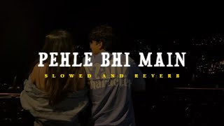 Pehle Bhi Main - Animal | Vishal Mishra | (Slowed + Reverb )  | Lofi Version |