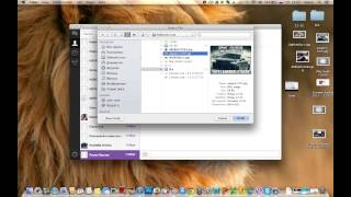 Обзор Viber для Mac и Windows