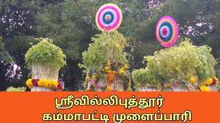 ஸ்ரீவில்லிபுத்தூர் கம்மாபட்டி முளைப்பாரி