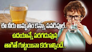 ఈ నీరు అమృతం కన్నా పవర్‌ఫుల్.. ఉదయాన్నే పరగడుపున తాగితే గుట్టయినా కరగాల్సిందే.. #healthtips