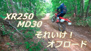 XR250　MD30  それいけ！オフロード